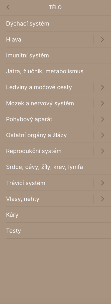 Snimek obrazovky 2023 11 09 v 10.55.40 min | Eccevita: E-shop na Shoptetu, který boxuje ve vyšší váhové kategori!